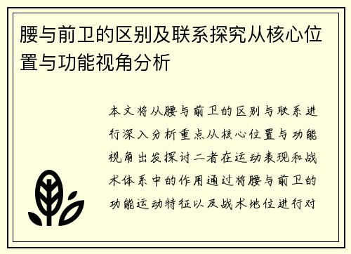 腰与前卫的区别及联系探究从核心位置与功能视角分析